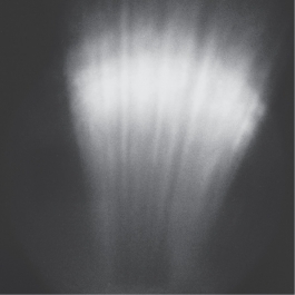 π.marinov | design.art.photography