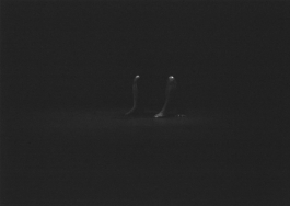 π.marinov | design.art.photography