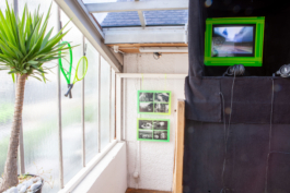 π.marinov | design.art.photography