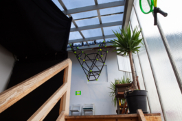 π.marinov | design.art.photography